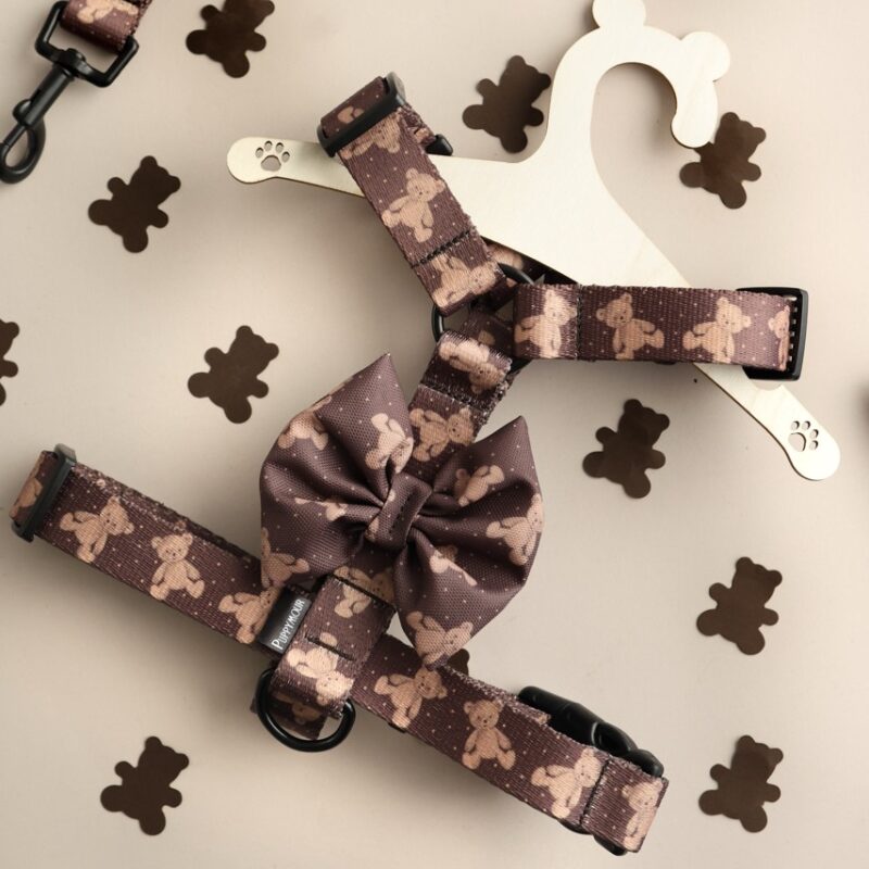 Kolekcja Brown Teddy Bear