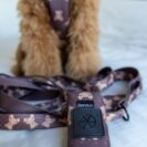 Etui na kupoworki Brown Teddy Bear Puppymour przypięte do smyczy psa
