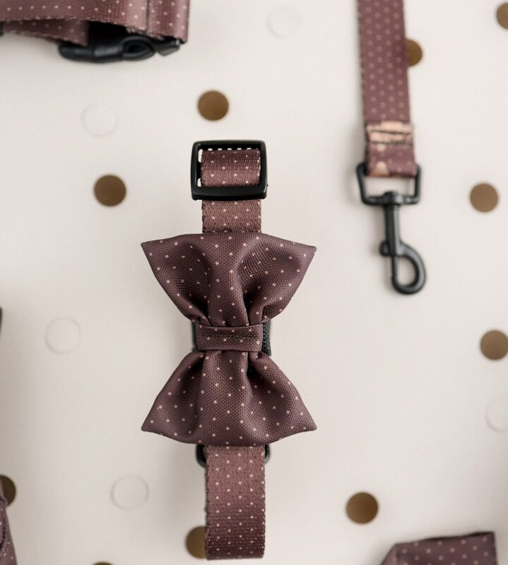 premium obroża puppymour brown dots