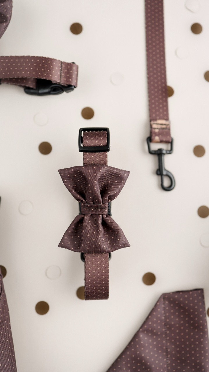 premium obroża puppymour brown dots