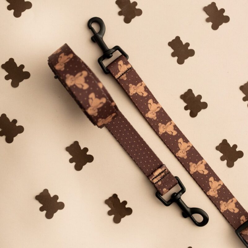 smycz dla psa brown teddy bear puppymour