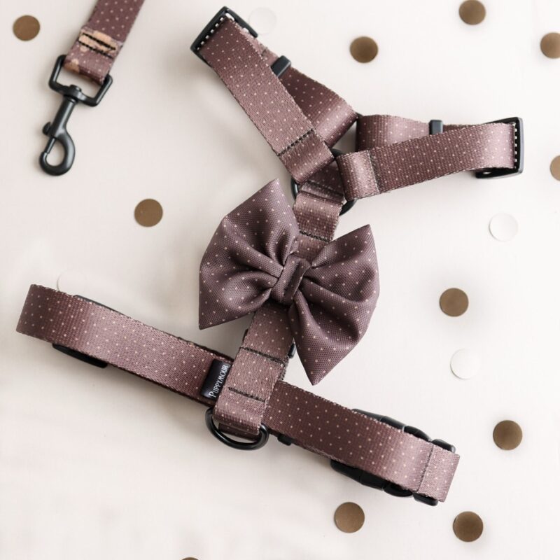 szelki guard brown dots puppymour