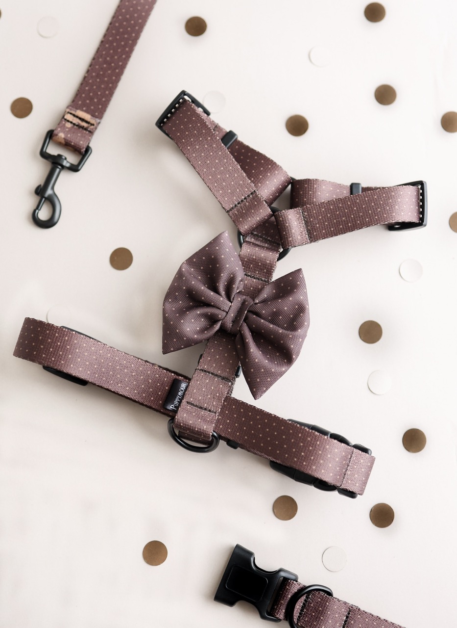 szelki guard brown dots puppymour