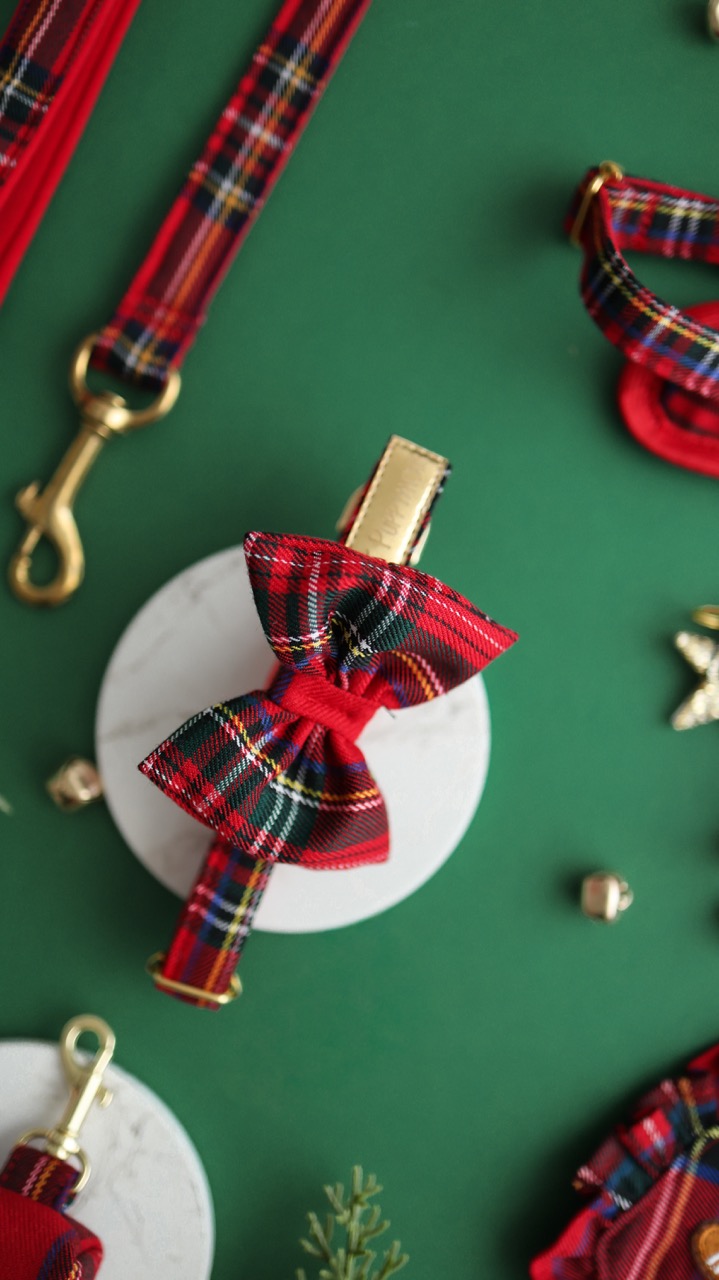 obroża zielona kratka puppymour