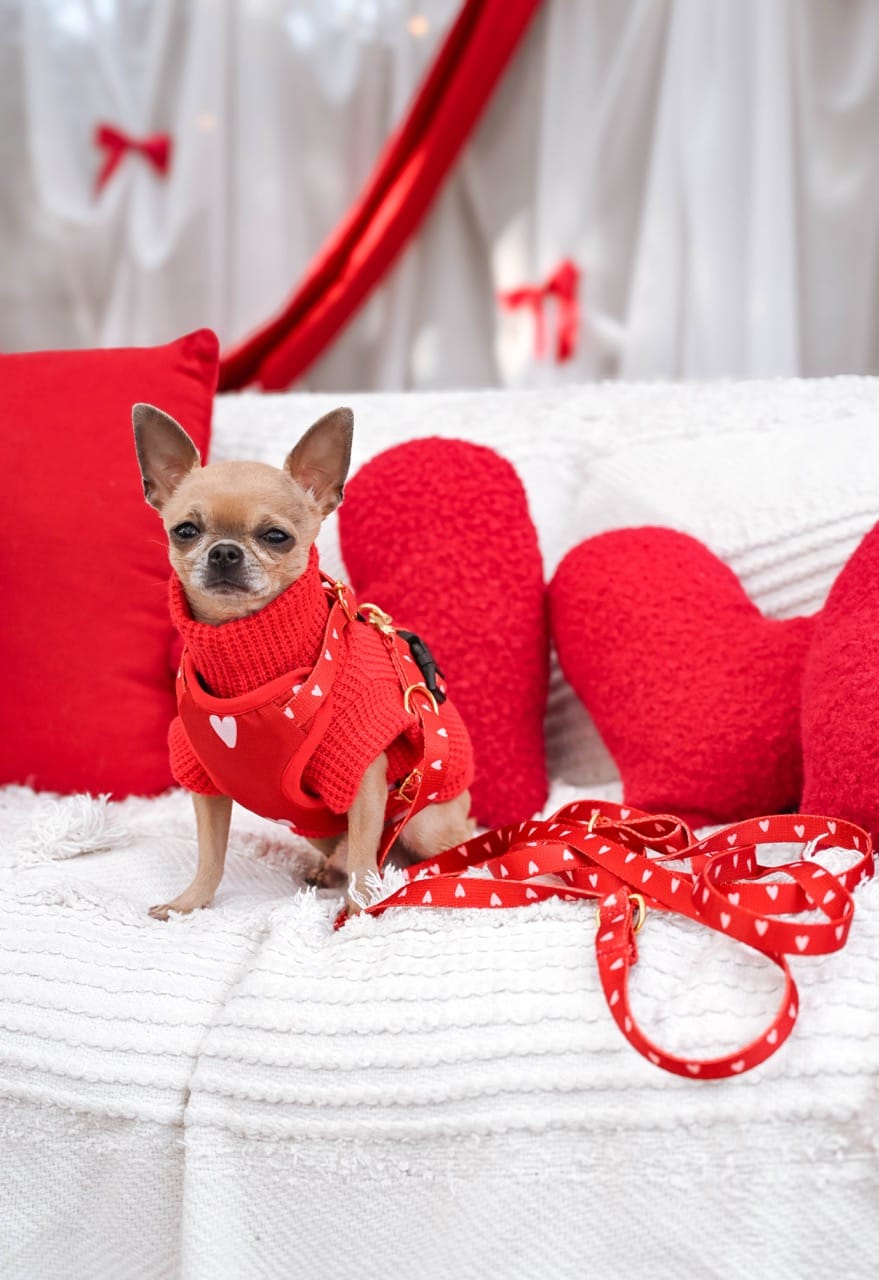 Sweterek "Red" - obrazek 5