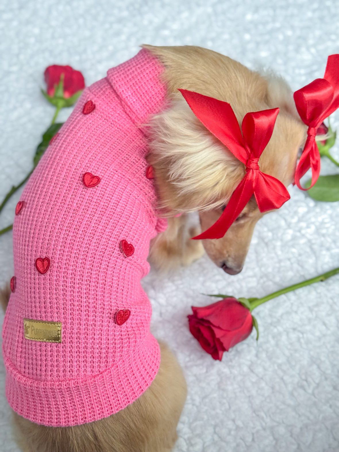 Sweterek "Puppy Love" - obrazek 9