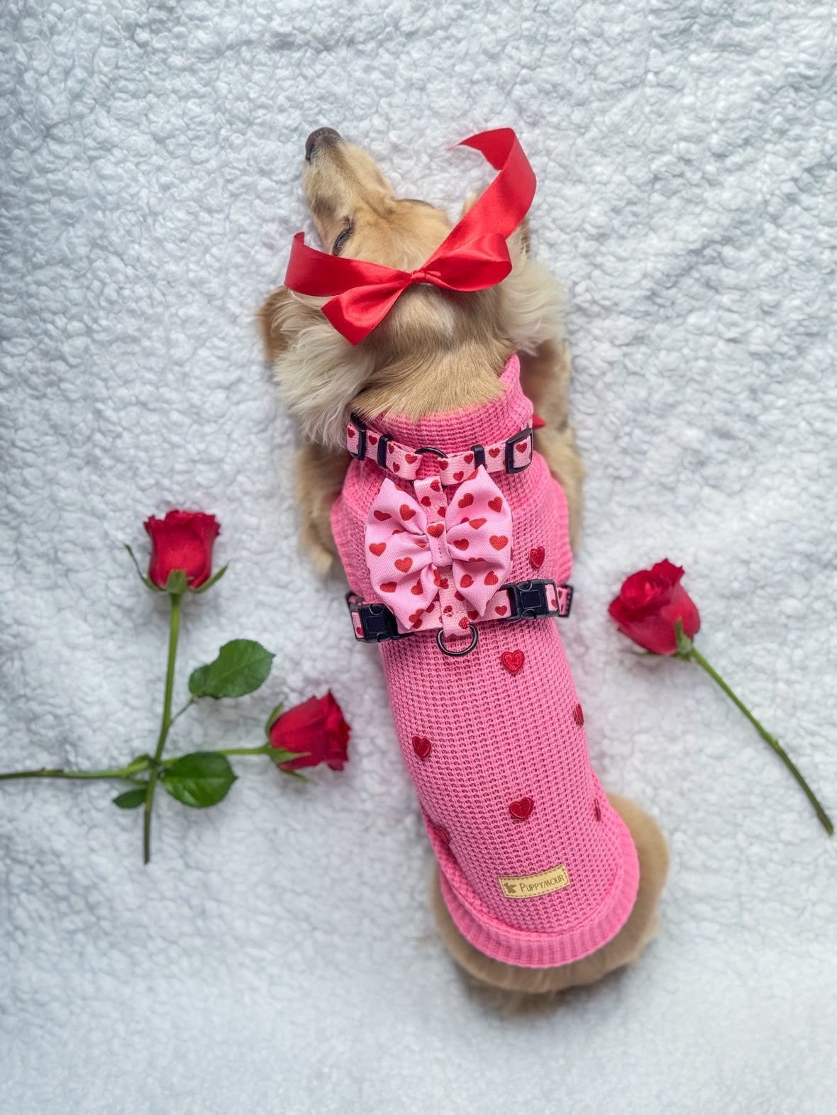 Szelki "Pink Love" - obrazek 6