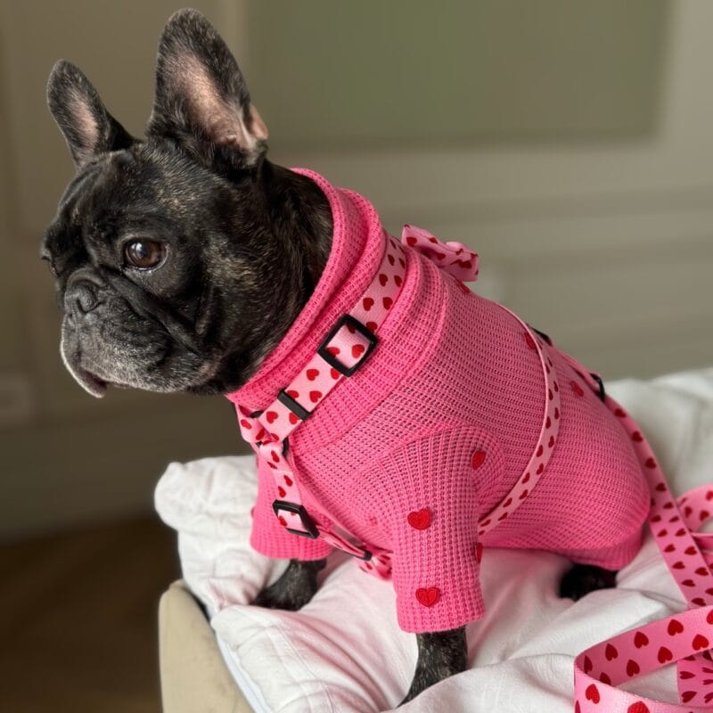 Sweterek "Puppy Love"