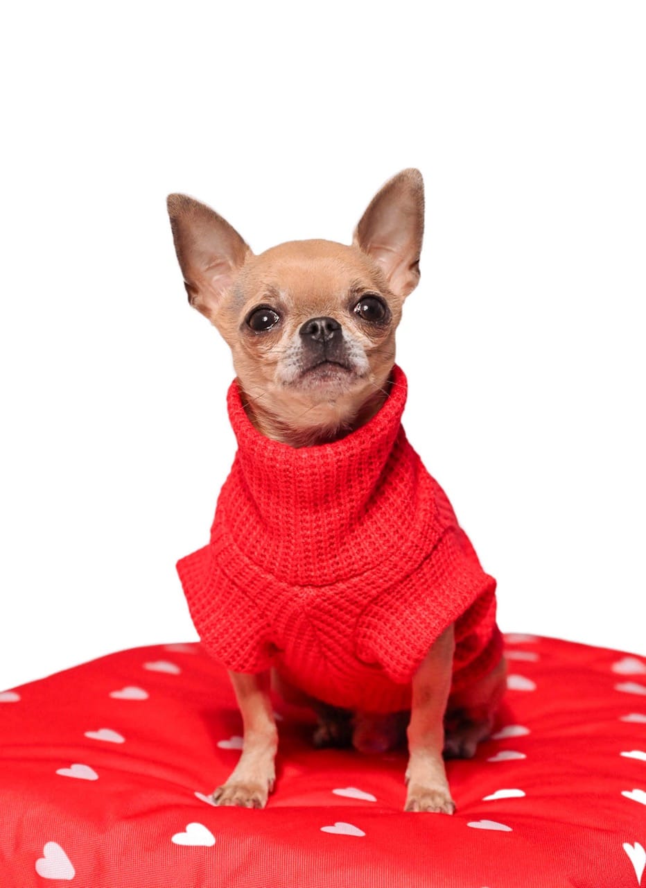 Sweterek "Red" - obrazek 4