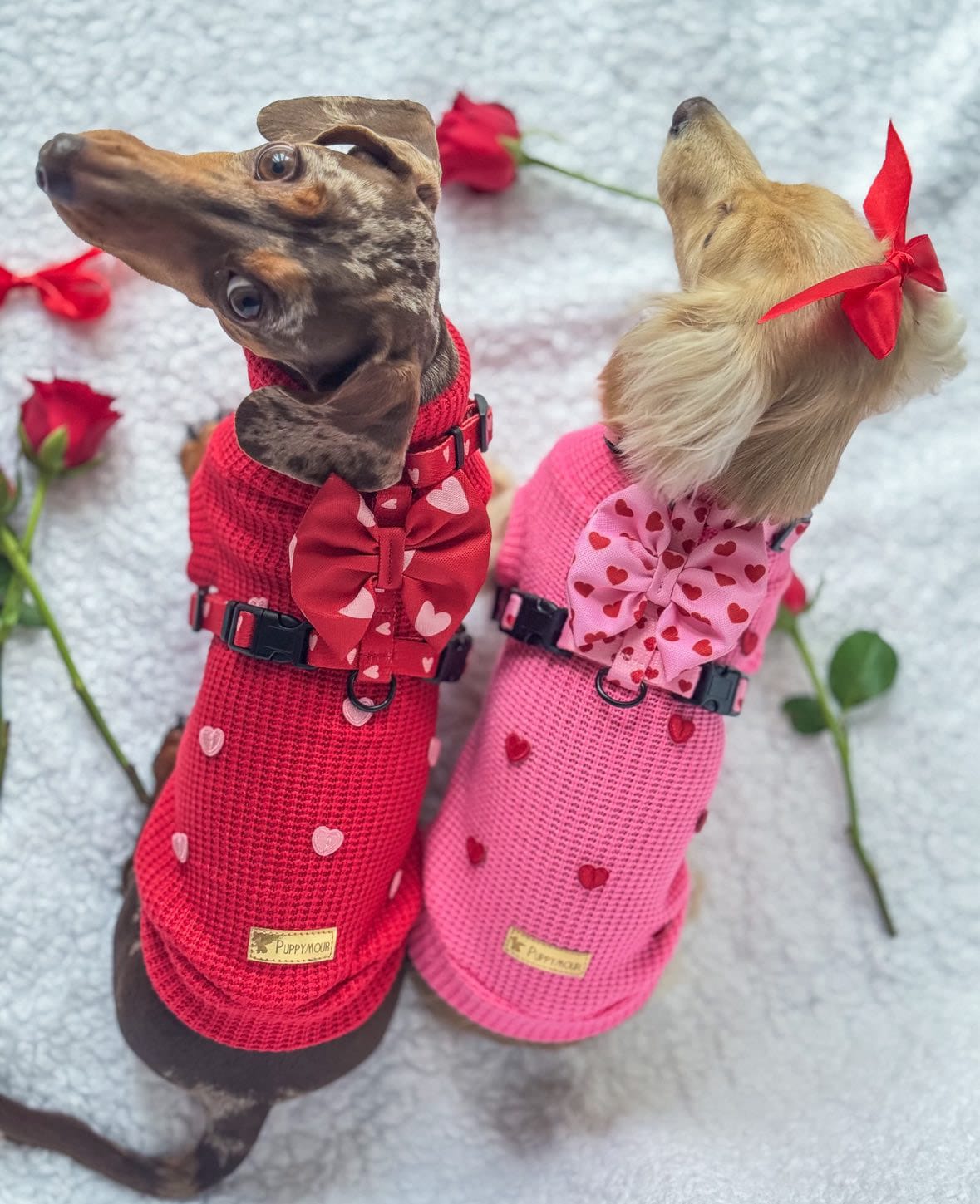 Sweterek "Puppy Love" - obrazek 14