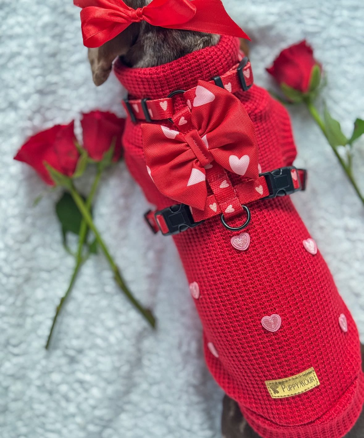 Sweterek "Puppy Love" - obrazek 16