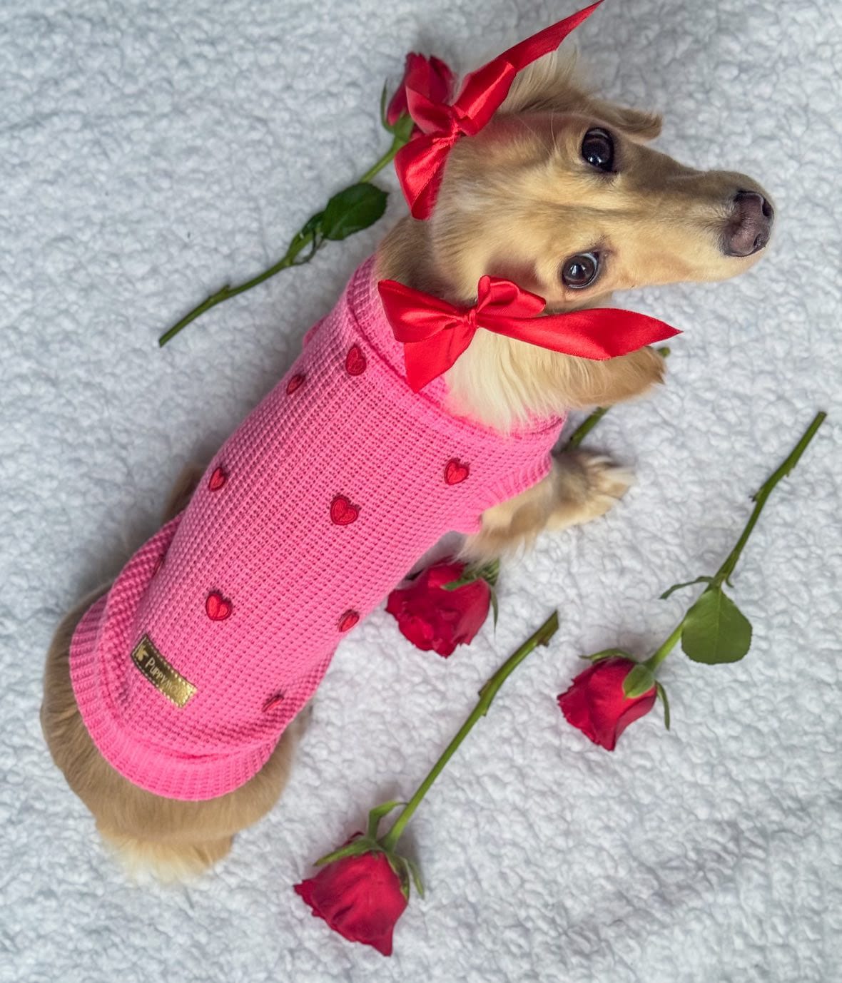 Sweterek "Puppy Love" - obrazek 8