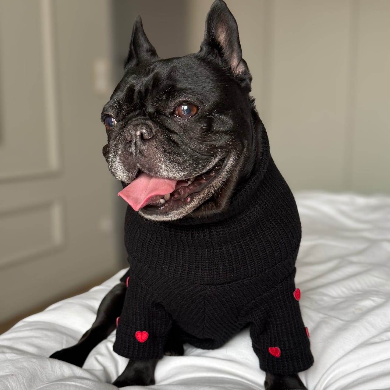 Sweterek "Puppy Love" - obrazek 3