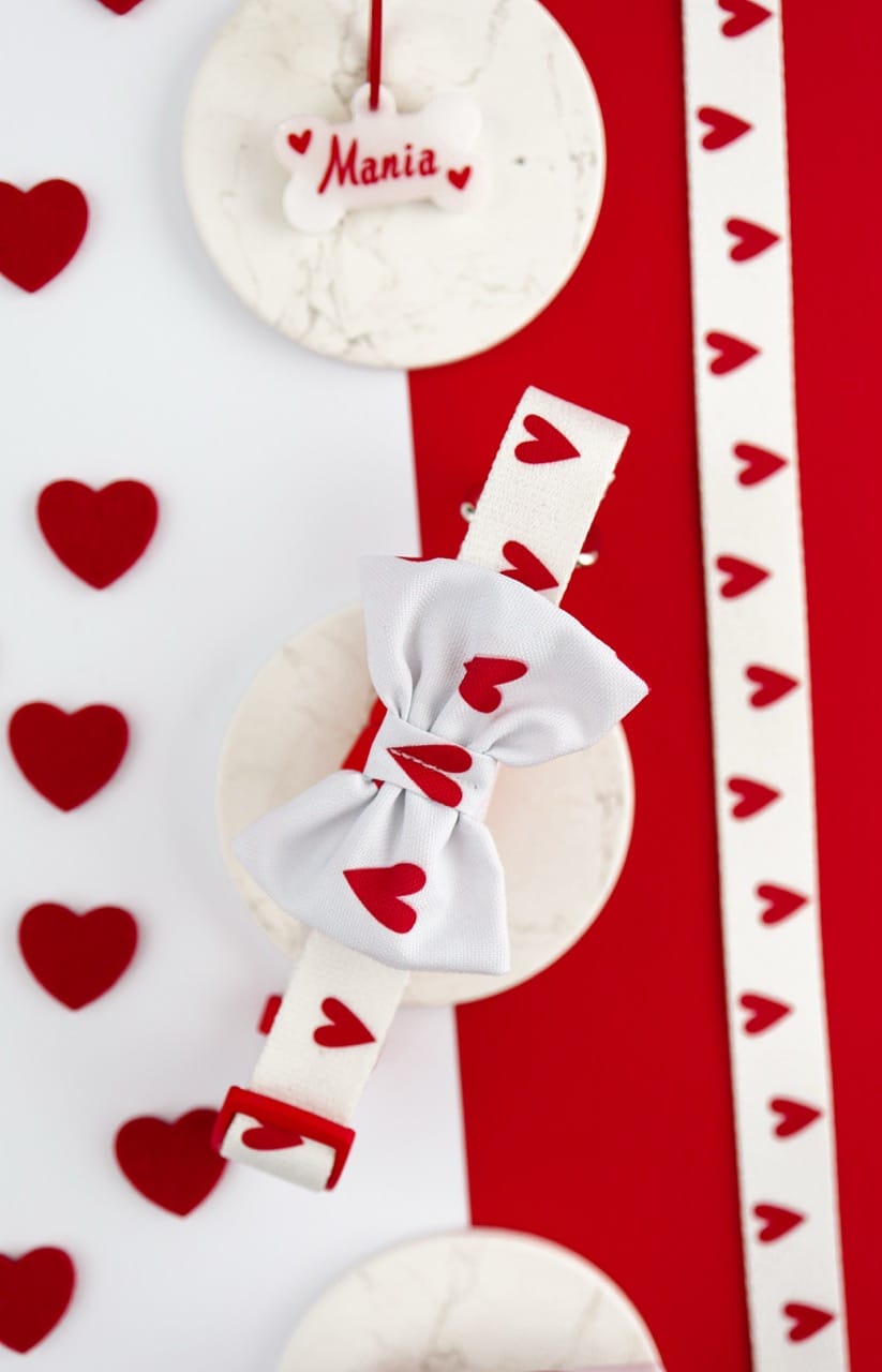 Biała obroża dla psa w czerwone serduszka z czerwoną klamrą i opcjonalną muchą z kolekcji White Love