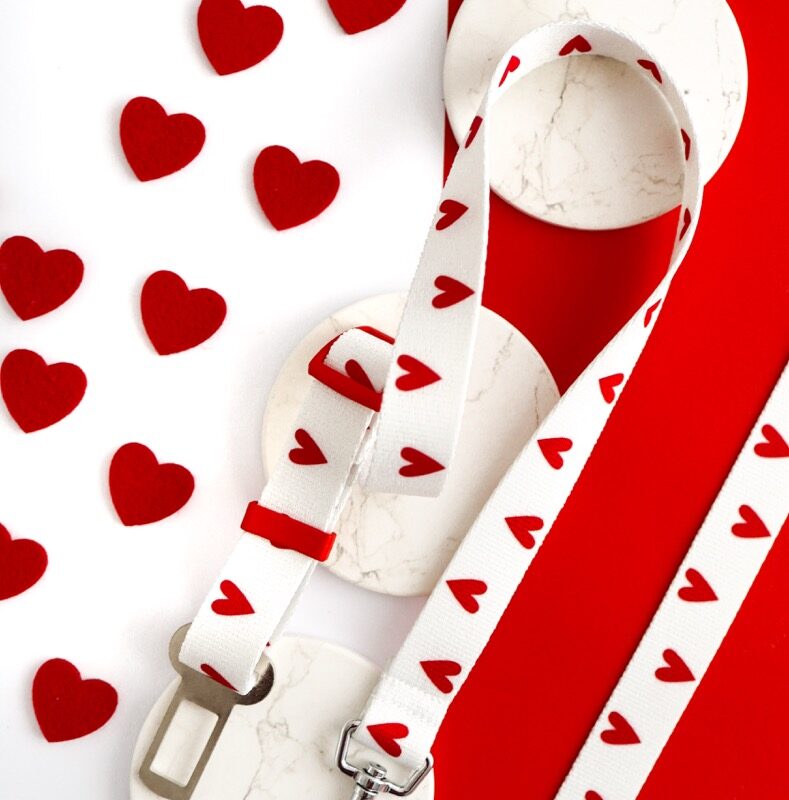 Biały pas samochodowy dla psa w czerwone serduszka z kolekcji White Love Puppmour