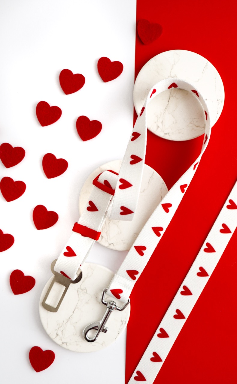 Biały pas samochodowy dla psa w czerwone serduszka z kolekcji White Love Puppmour