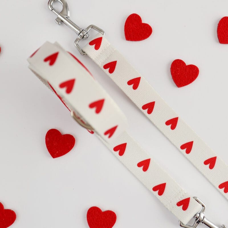 Biała smycz miejska dla psa w serduszka z rączką podszytą neoprenem kolekcja White Love