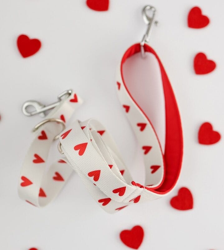 Biała smycz przepinana dla psa w czerwone serca z rączką podszytą czerwonym neoprenem - kolekcja White Love Puppymour