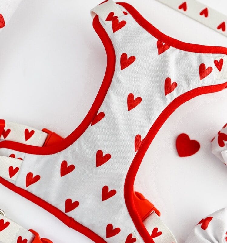 Przód szelek bezuciskowych White Love Puppymour - biały panel w serduszka z czerwoną lamówką