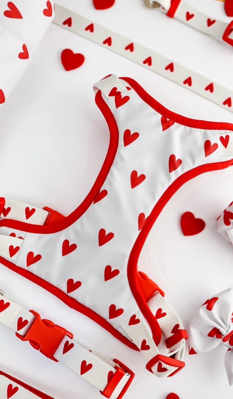 Przód szelek bezuciskowych White Love Puppymour - biały panel w serduszka z czerwoną lamówką