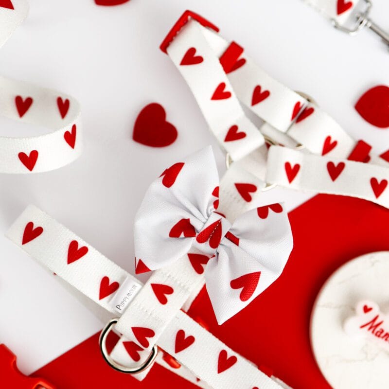 Białe szelki typu guard dla psa w czerwone serca z czerwonymi klamrami kolekcja White Love Puppymour