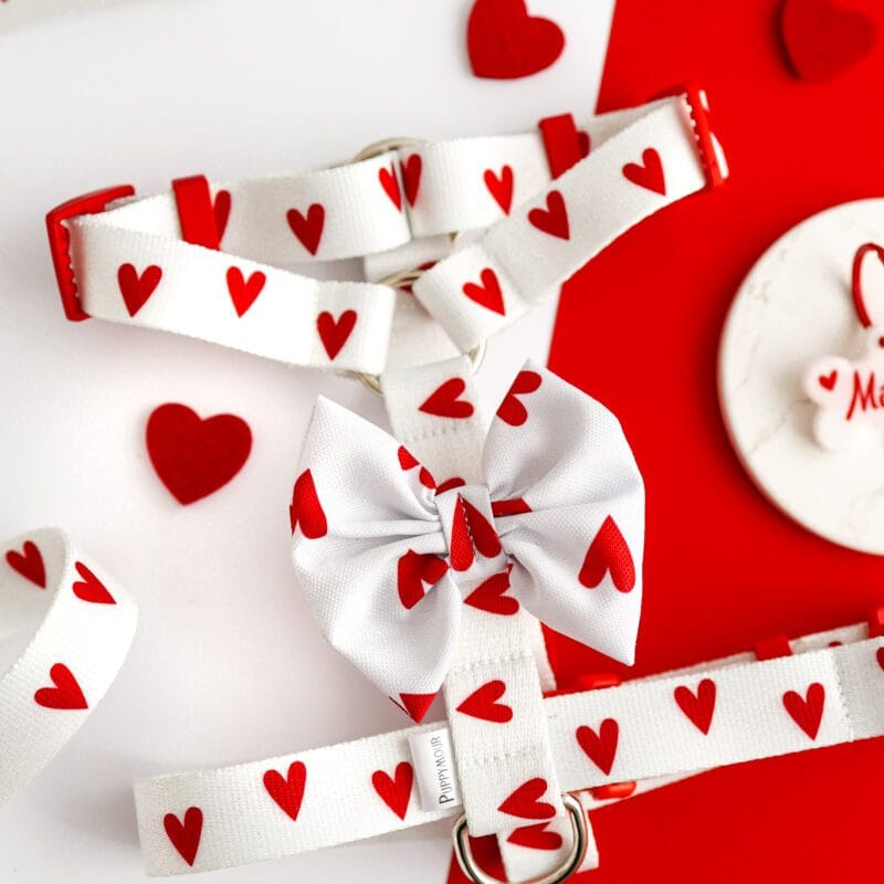 szelki-guard-dla-psa-white-love-z-kokarda Białe szelki typu guard dla psa z kolekcji White Love Puppymour z przypiętą czerwoną kokardą na rzep.