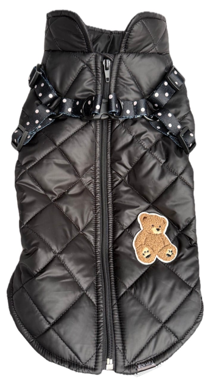 IMG_6717-Duzy.jpeg IMG_6717-Duzy.jpeg