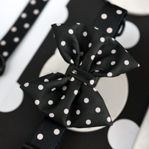 Obroża "Black Dots"