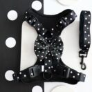 szelki-bezuciskowe-dla-psa-z-dopasowanymi-akcesoriami-black-dots.jpeg