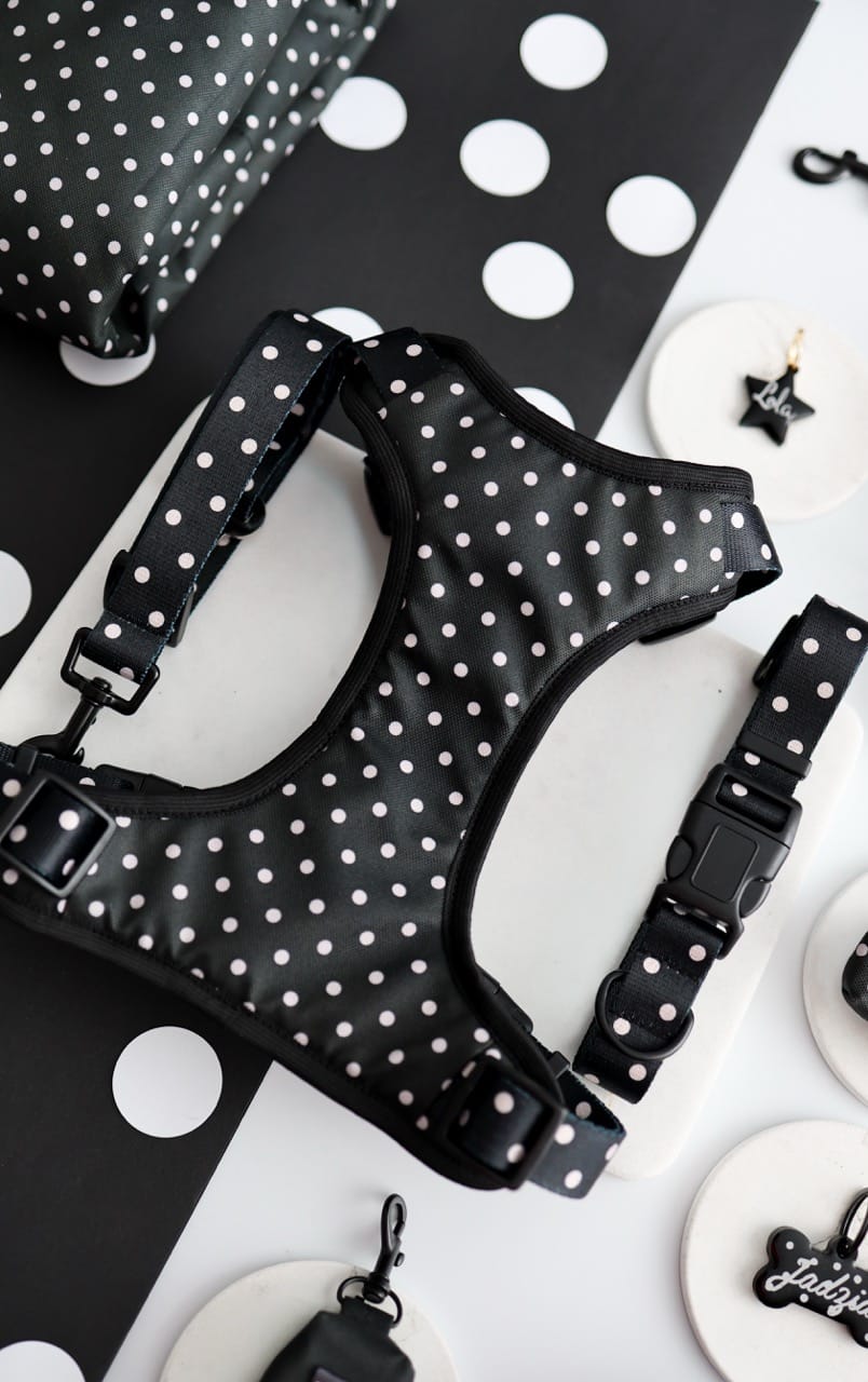 zabudowany-przod-szelek-bezuciskowych-dla-psa-puppymour.jpeg zabudowany-przod-szelek-bezuciskowych-dla-psa-puppymour.jpeg